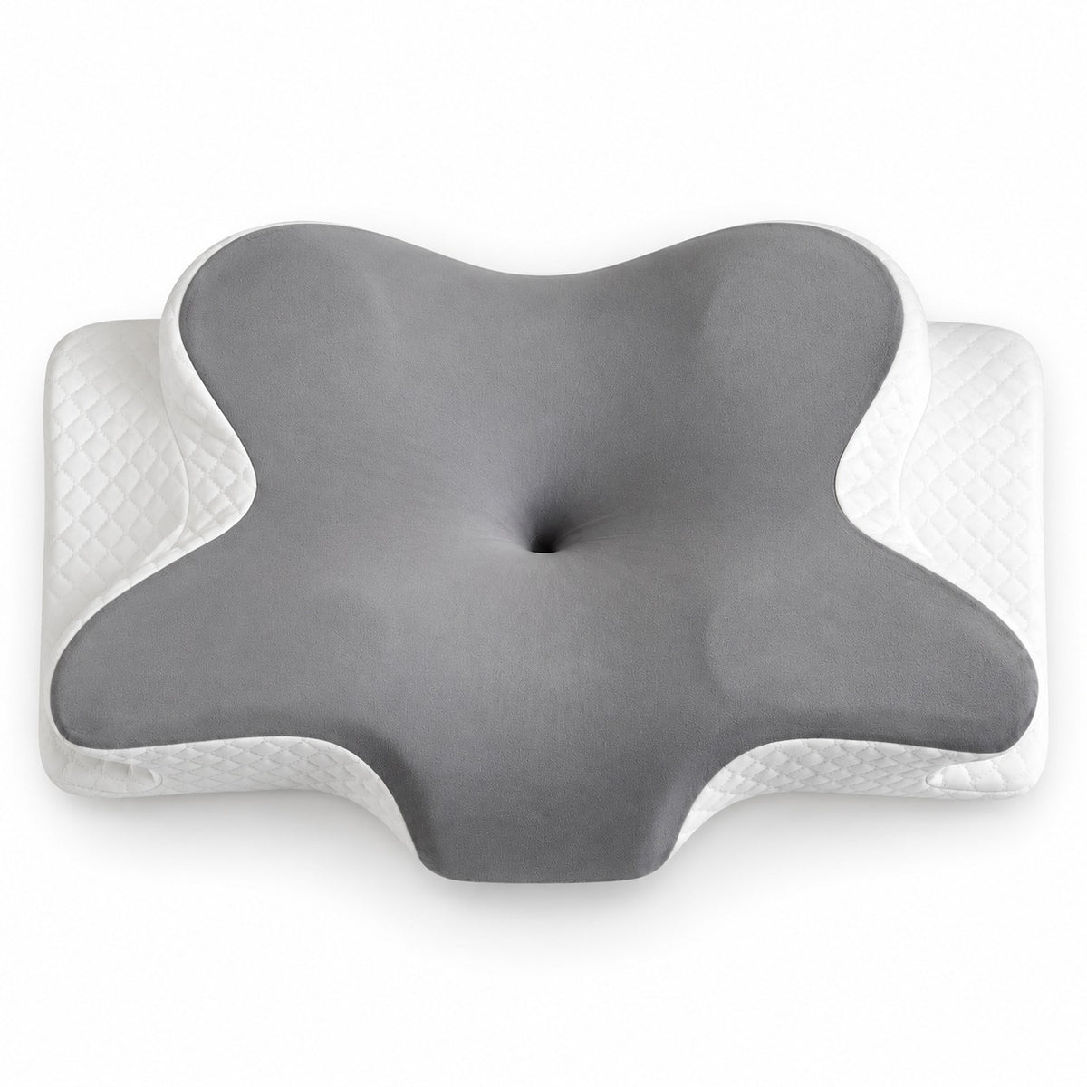 Top view of the butterfly contour shape